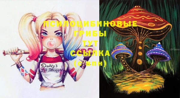 стафф Алексеевка