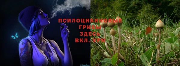 метадон Абинск