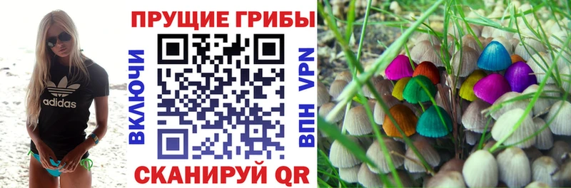 где продают   Болохово  Галлюциногенные грибы MAGIC MUSHROOMS 