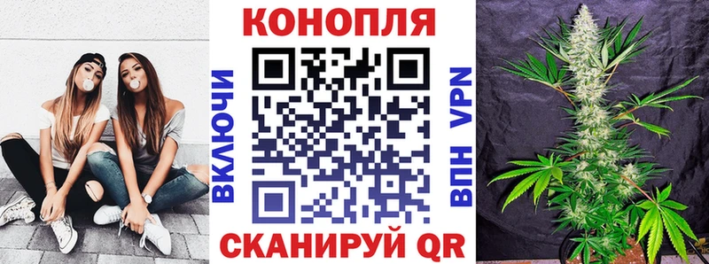 цена наркотик Болохово блэк спрут ссылка Канабис Amnesia